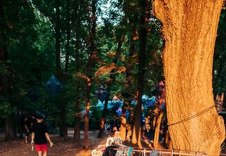 02_Fest Fetival