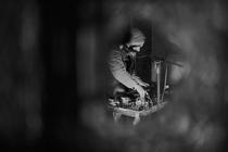 timber_3