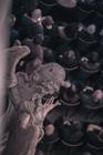 Current93_17