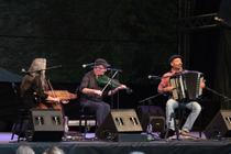 Firelight trio