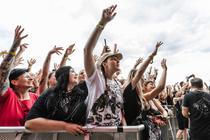 Fans 2 (12)