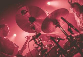 3_Brutus
