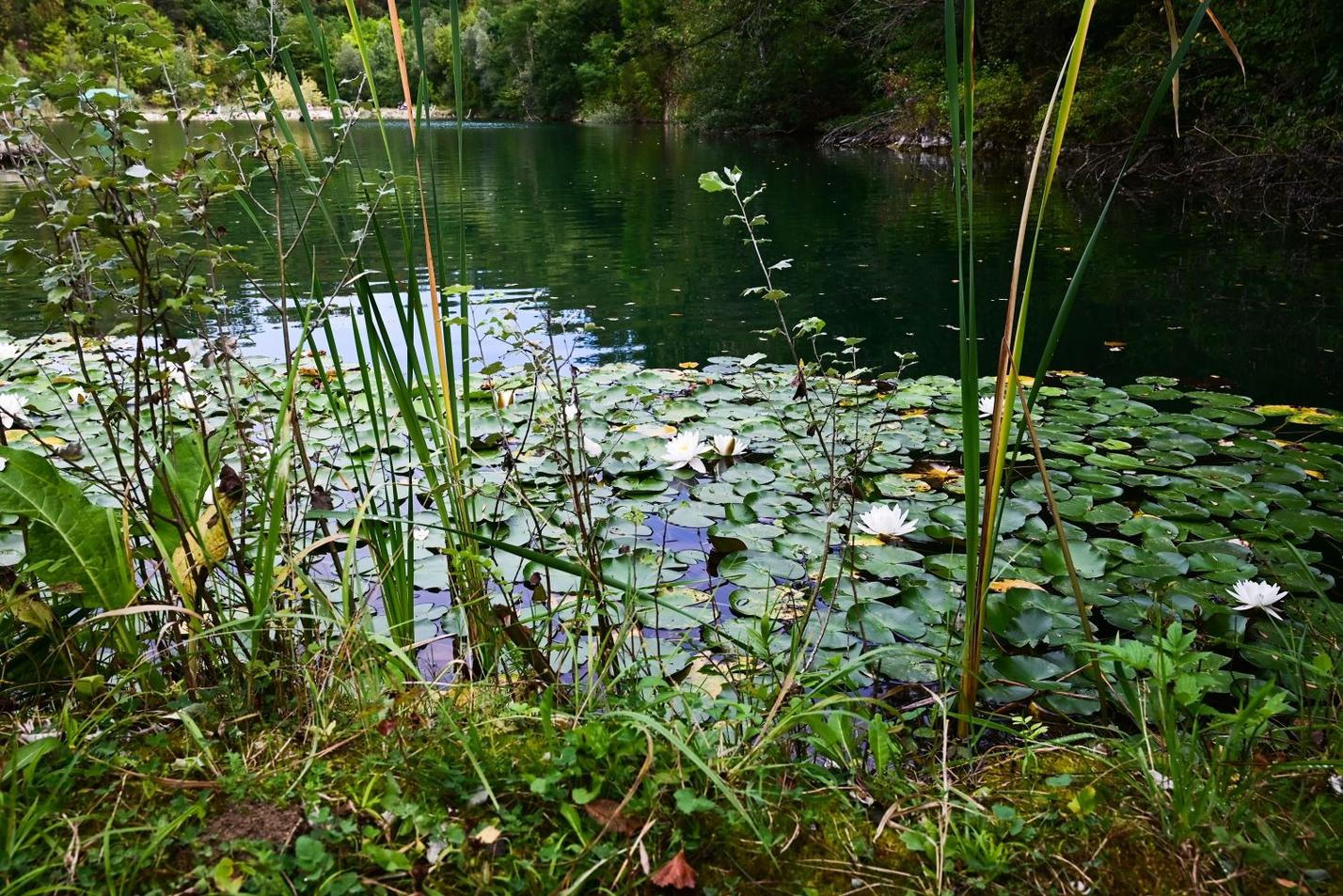 Kurovický lom 4 (1)