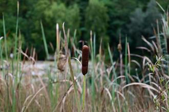 Kurovický lom 3 (1)