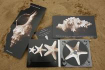 Nomad Sky Diaries _ Sky Burial productions_6