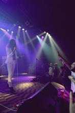 Turbowolf  (1)