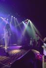 Turbowolf  (1)