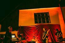 GINGER_WIZZARD_3