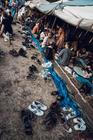 Areál Colours Of Ostrava