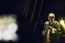 CALYPSO ROSE