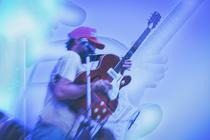 Please the Trees 5
