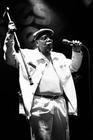 Legends Of Chicago Blues Feat (1)