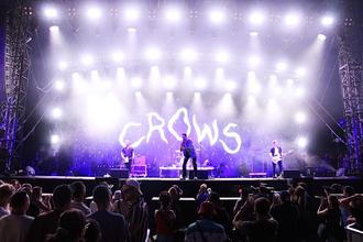 CROWS_6