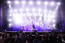 CROWS_6