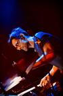 Adrian Belew 8