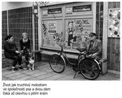 Berlín 8