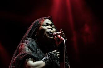 Moonlight Benjamin