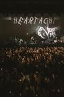 3 Bastille (6)