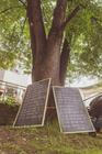 Vivat_Vila (3)