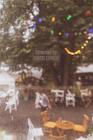 Vivat_Vila (12)