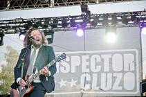 6246_the_inspector_cluzo