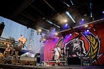 6557_guano_apes