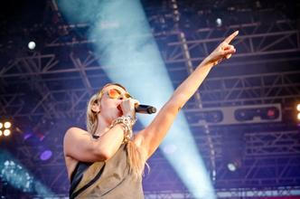6531_guano_apes