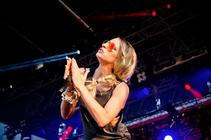 6563_guano_apes