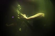 Dirge