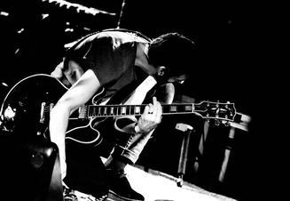 BirdPen (8)