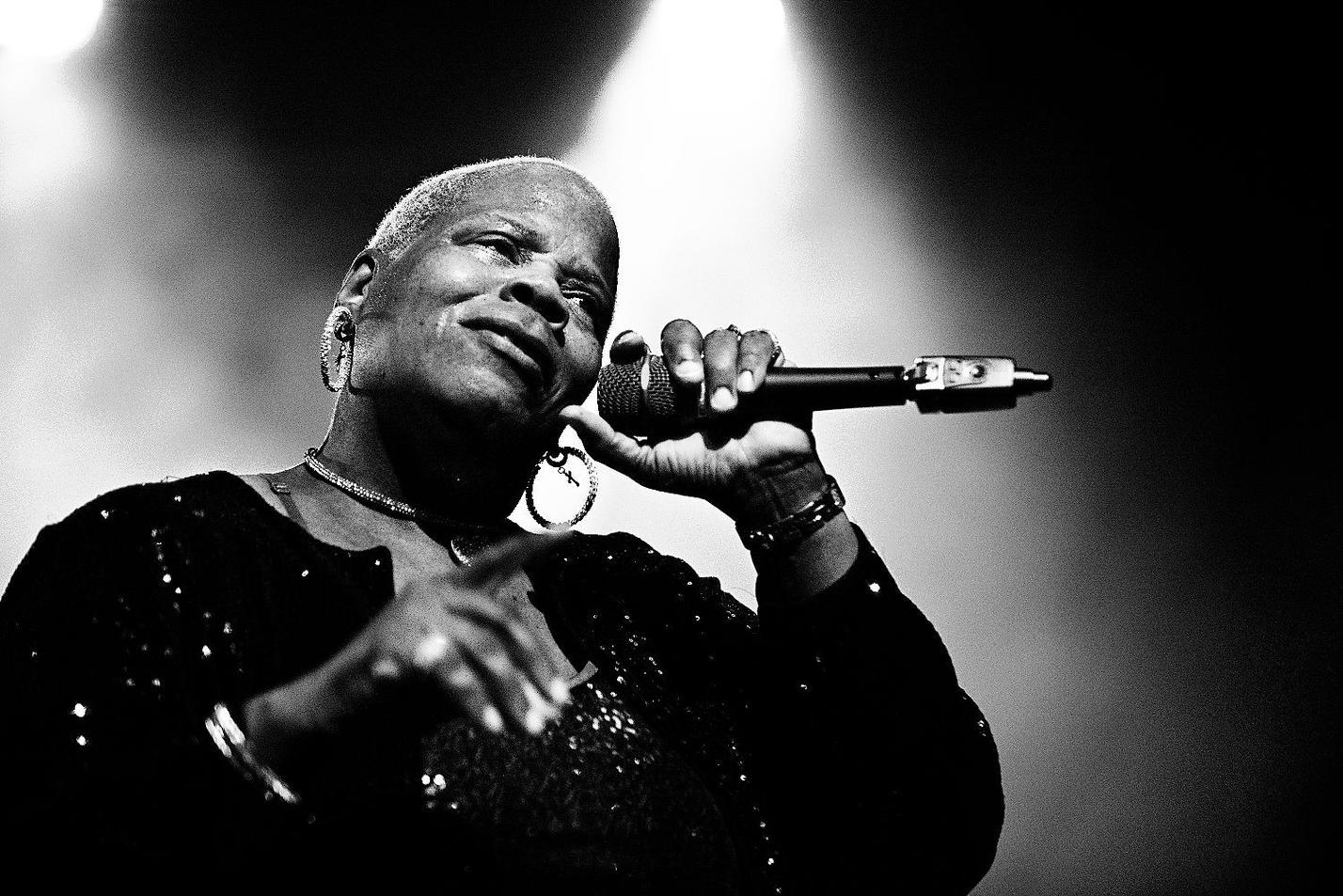 Chicago Blues Festival Feat (8)