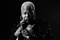 Chicago Blues Festival Feat (11)