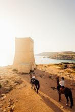 Horse Riding by Gnejna Tower in Malta