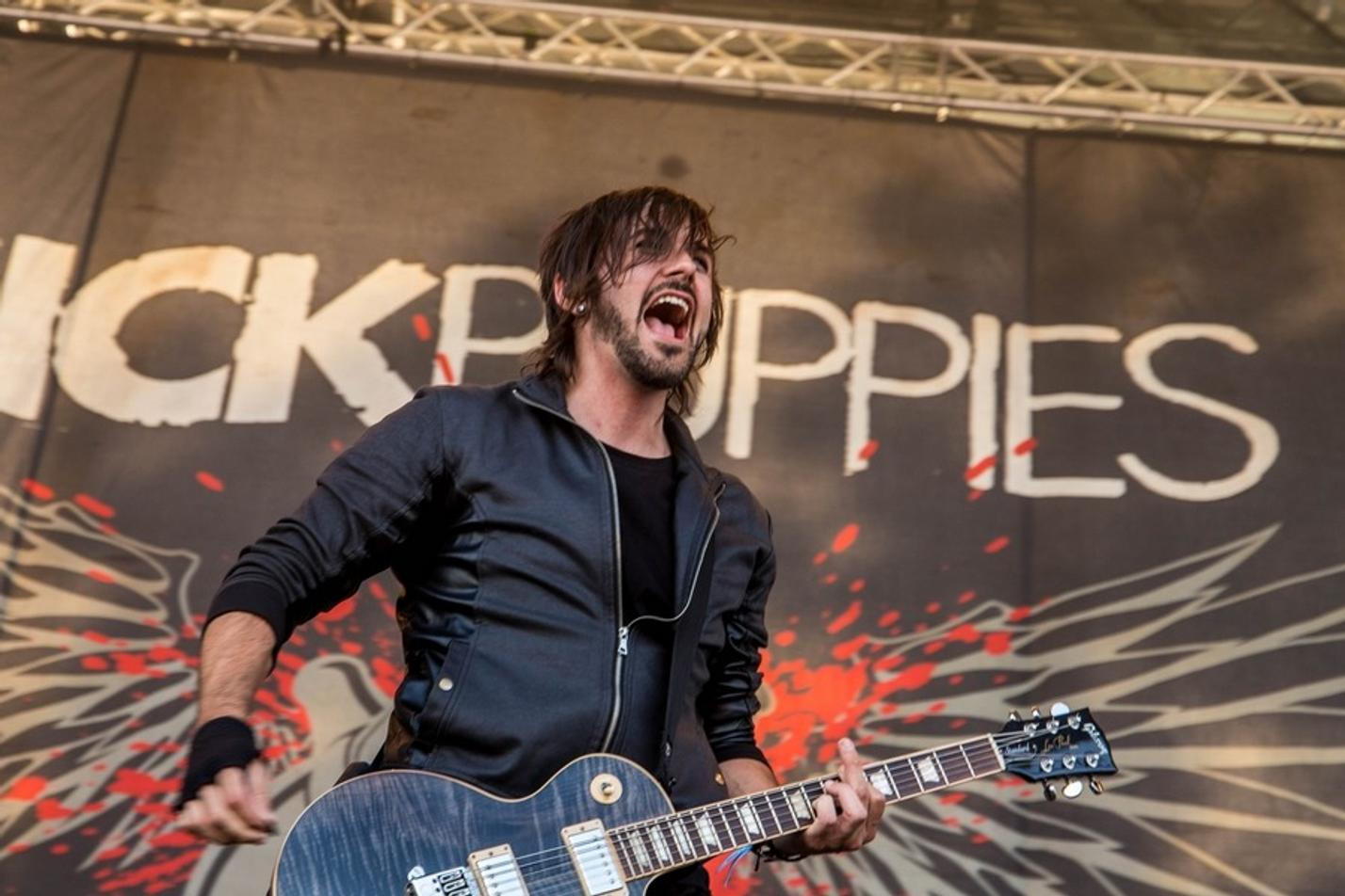 Sick Puppies 3