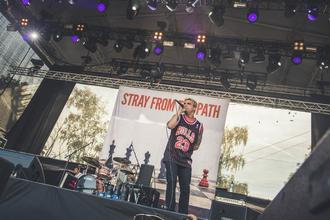 Stray From The Path 2