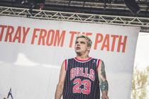 Stray From The Path 1