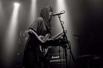 Staghorn06