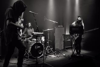 Staghorn01