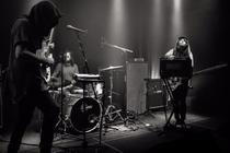 Staghorn01