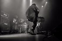 Staghorn02