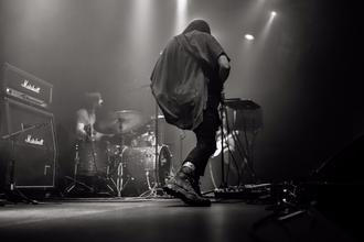 Staghorn02