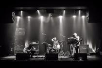 Staghorn05