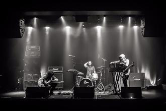 Staghorn05