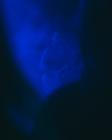 she past away_08