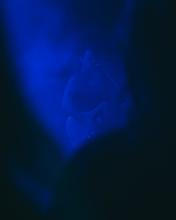 she past away_08