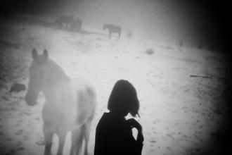 6 LAVRA 4