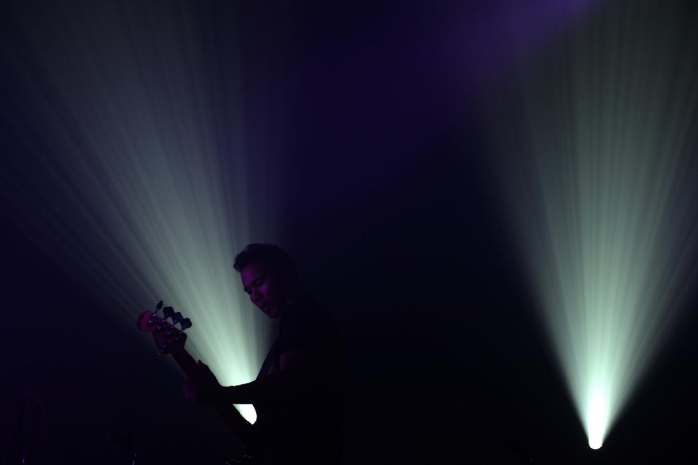 Alcest1 (1)
