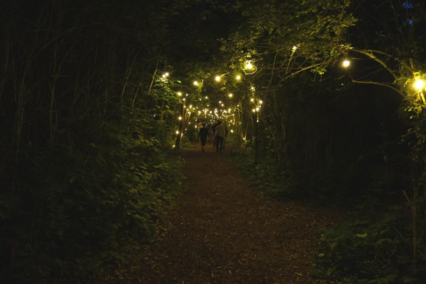 Forest1