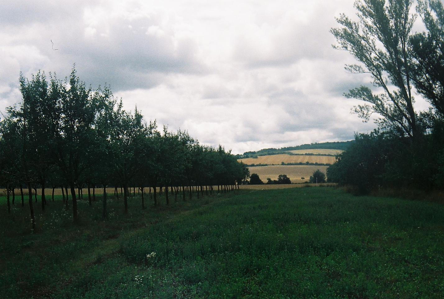 27_beseda_analogova_denickova