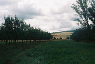 27_beseda_analogova_denickova
